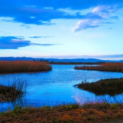 20190228 IMG_3467 (2)